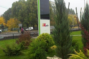 ozelenenie