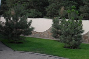 landscape13