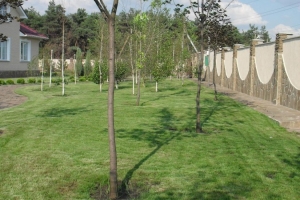 landscape33