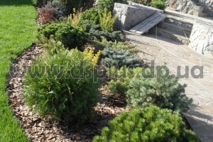 design_landscape