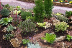 landscape_design8