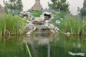 landscape10