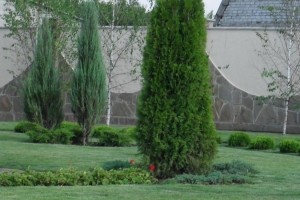 landscape25
