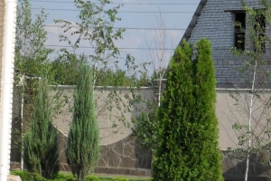landscape26