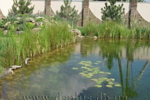 landscape9